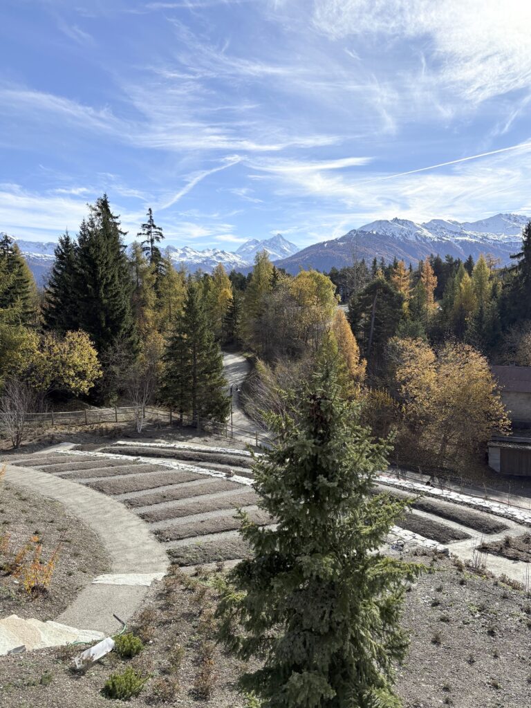 pascal olivier architecte paysagiste - jardin de montagne