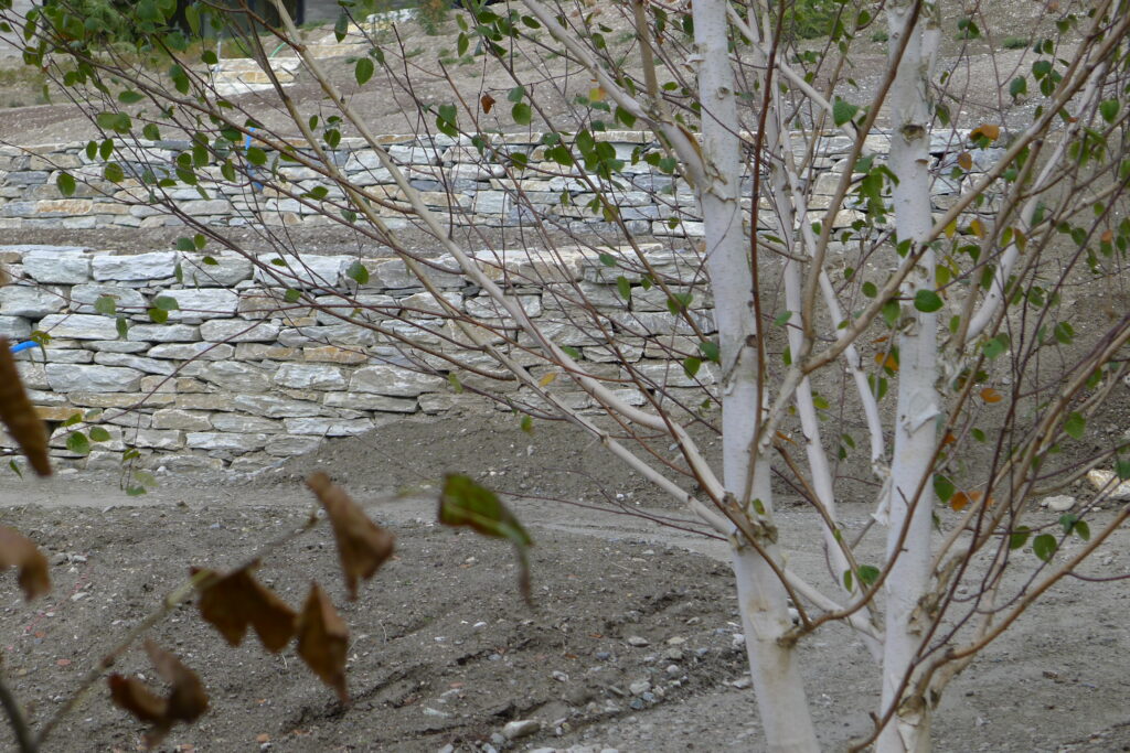 pascal olivier architecte paysagiste - jardin de montagne